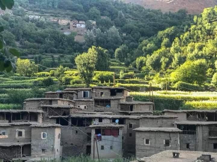 Escale Rando Taliouine Otel Dış mekan fotoğraf