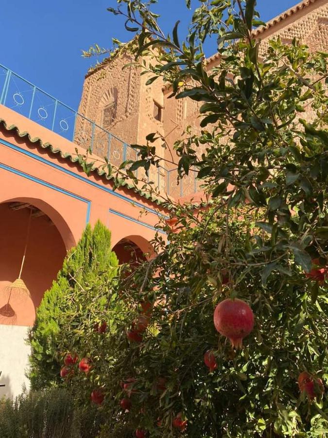 Escale Rando Taliouine Otel Dış mekan fotoğraf