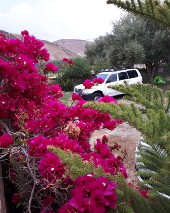 Escale Rando Taliouine Otel Dış mekan fotoğraf