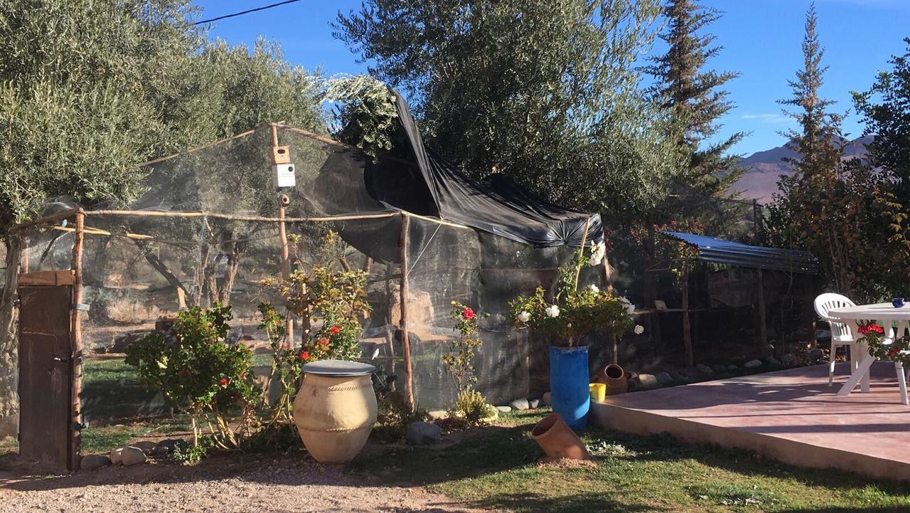 Escale Rando Taliouine Otel Dış mekan fotoğraf
